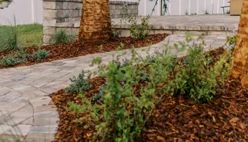Landscape Lighting for Pro Designs Landscaping in Jacksonville, FL