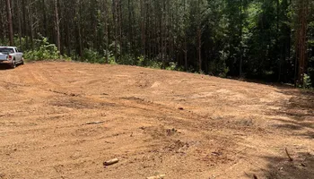 Land Clearing for A.P Land Management in Atlanta, Ga