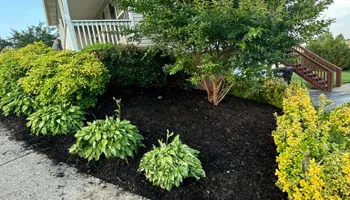 Tree Removal for SEALY TREE and LAWN in Cleveland, TN