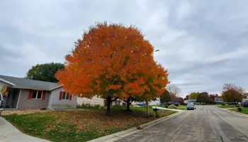 Mowing for Austin's All Season's Services LLC in Watertown, WI