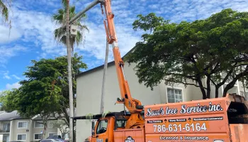 Tree Trimming for Sam's Tree Service in Miami Beach,  FL