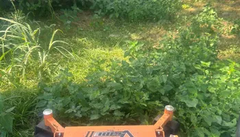 Fall Clean Up for Estrada All Pro Lawn Service in Auburndale, Florida