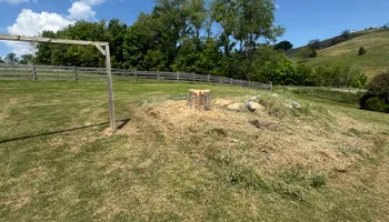 Tree Removal for Precision Cutz Tree Services, LLC in Coeburn, VA