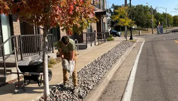 Tree Removal for K and Z Tree Care in Andover, MN