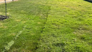 Mowing for CS LawnCare  in San Antonio,  TX