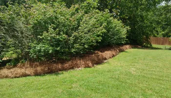 Pinestraw for BAM Another Pinestraw Lot in Flowery Branch, GA