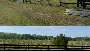 Painting and Drywall for Camalett Services in Perry, GA