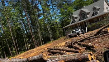 Tree Removal for J&M Stump Grinders LLC in Douglasville, GA