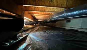 Water Mitigation for No Fear Restoration LLC in Port Angeles, WA