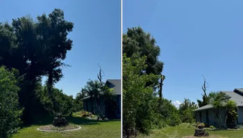 Tree Removal for Lemon Bay Tree Service  in Englewood, FL