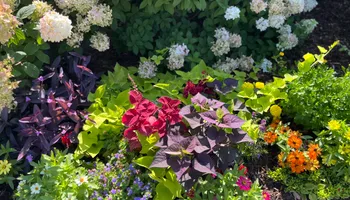 Commercial Maintenance/Installs for Urban Lawn & Landscape in Oklahoma City, OK