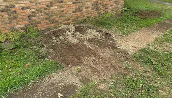Stump Removal for Conrad's Stump Removal in Columbus, IN