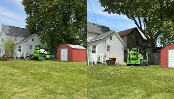 Tree Removal for Fransen's Tree Service  in Freeport, IL