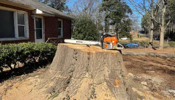 Stump Removal for J&K Stump Grinding in Detroit, MI