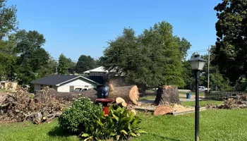 Tree Removal for JC Land and Tree Service in Kilgore, TX