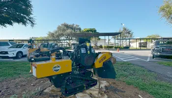 Tree Removal for Outdoor Solutions Of The Glades in Hendry County, FL