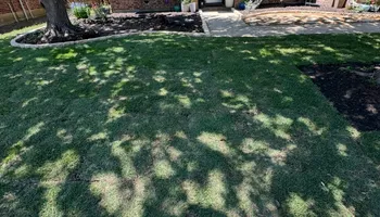 Lawn Maintenance for Stonewood Outdoor Services in Fort Worth, TX