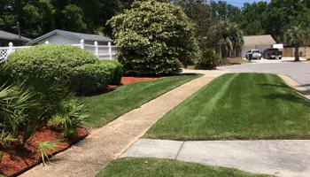 Tree Trimming for Professional Landscape & Irrigation in Pensacola, FL