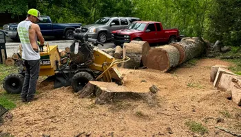 Tree Removal for Greenskeeper Property Management in Elizabethtown, KY