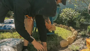 Landscape Lighting for Pro Designs Landscaping in Jacksonville, FL