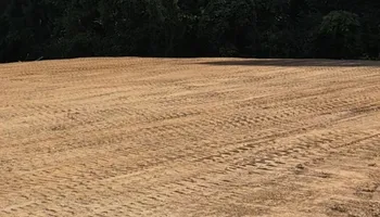 Land Clearing for 5 Star Land Management in Beech Bluff, TN