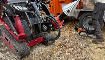 Tree Removal for Tree Fellers in Sumner County, TN