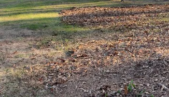 Lawn Maintenance for Grassworks Lawn And Landscaping in Callao, VA