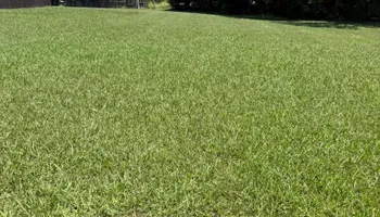 Landscape Installation for Green Scapes Landscaping in Terrell, TX