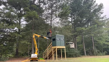 Tree Removal for Ross Family Tree Service LLC  in Hohenwald, TN