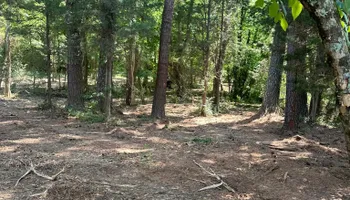 Land Clearing for Miller Farms Hay & Land Management in Knoxville, TN