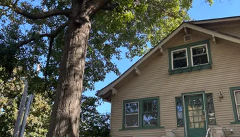 Tree Removal for Cross Family Tree Service in Kearney, MO