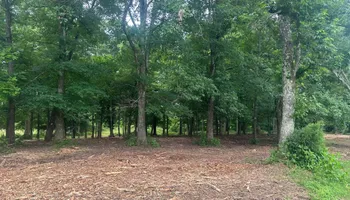 Land Clearing for Miller Farms Hay & Land Management in Knoxville, TN