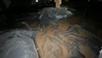 Water Mitigation for No Fear Restoration LLC in Port Angeles, WA