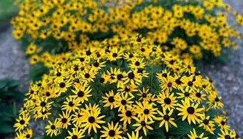 Excavation for Lakeview Outdoor Services in Sparta, NJ