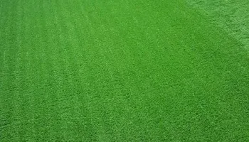 Artificial Turf for Outside the Grass in North Bergen, NJ