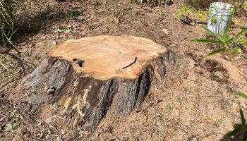 Household Junk Removal for Junk B Gone in Rougemont, NC