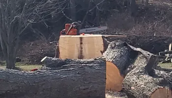 Tree Removal for Fowler's Tree Service LLC. in New Albany, PA