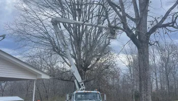 Tree Removal for Ross Family Tree Service LLC  in Hohenwald, TN