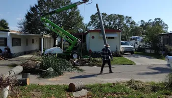 Stump Grinding for Busy Beaver Stump Removal, Inc in Clearwater, FL