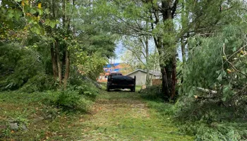 Tree Removal for Houtz Tree Service in Lexington, KY