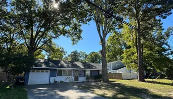 Tree Removal for Cowboys TREE Company in Chesapeake, VA