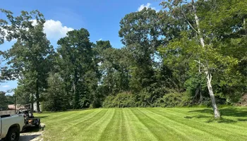 Lawn Maintenance for Wilkerson Turf Care in Hemphill, TX