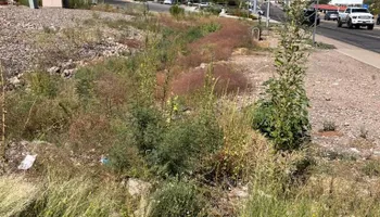 Landscape Design for Tidy Up Landscape and Design in Chandler, AZ