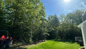 Tree Removal for Leaf and Limb in Townsend, MA