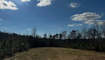 Land Clearing for Hunt’s Hauling & Landworks LLC in Danville, VA