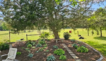 Lawn Maintenance for Trinity Landscapes  in Lumberton, NC