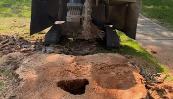 Tree Removal for Etherton’s Tree Service in Quinton, NJ