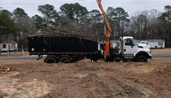 Tree Removal for Kingdom Riderz Hauling And Tree Service in Tar Heel, NC