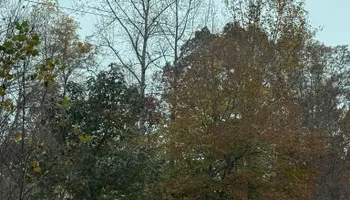 Land Clearing And Site Preparation for True Grit Hauling in Athens, TN