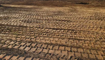 Land Clearing for 5 Star Land Management in Beech Bluff, TN